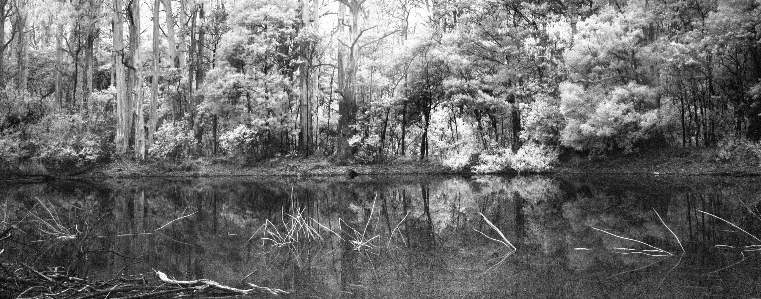 Life Lessons From The Lake: Wisdom Reflected in Still Waters