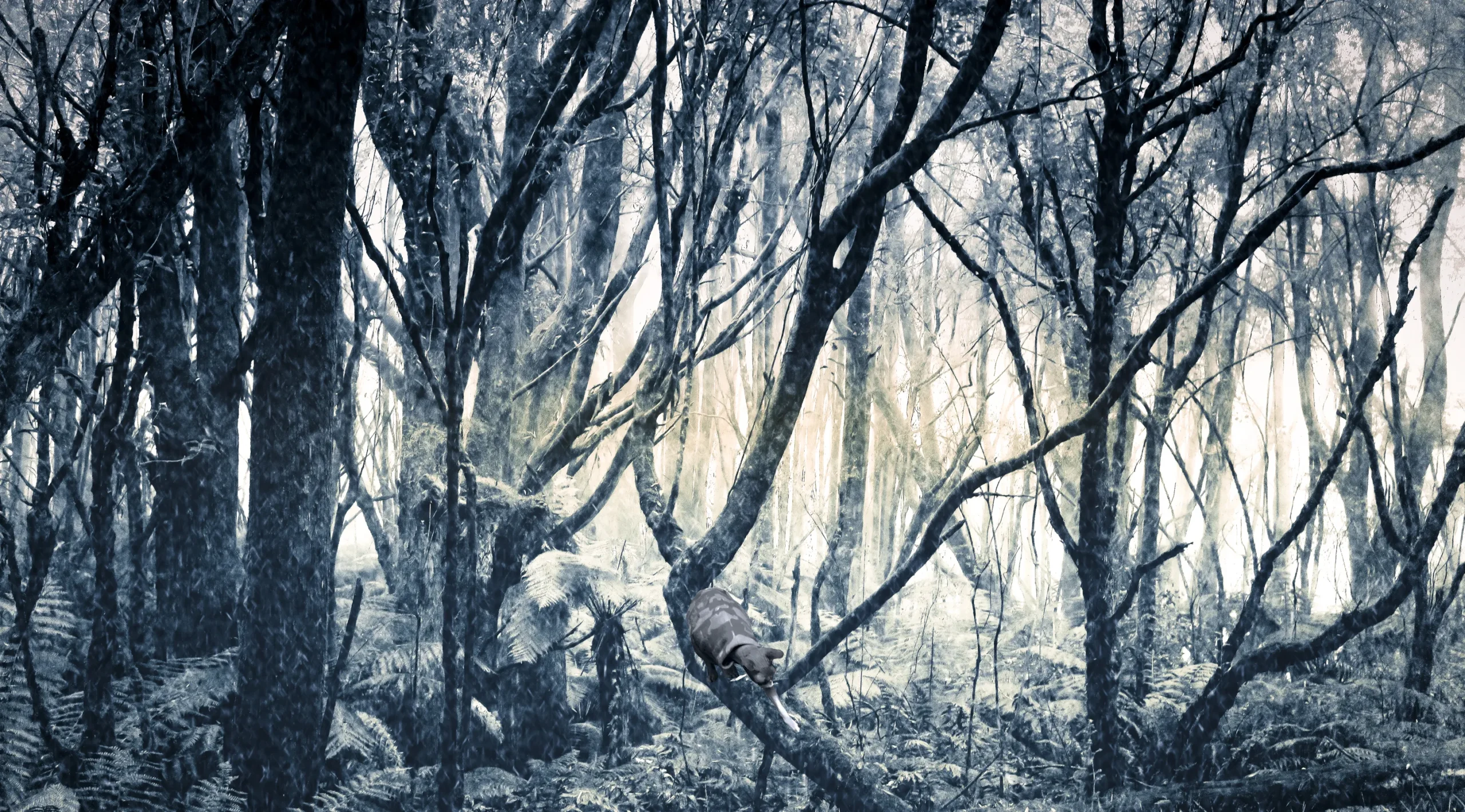 Growth After Storms: Life Coaching Through Rain