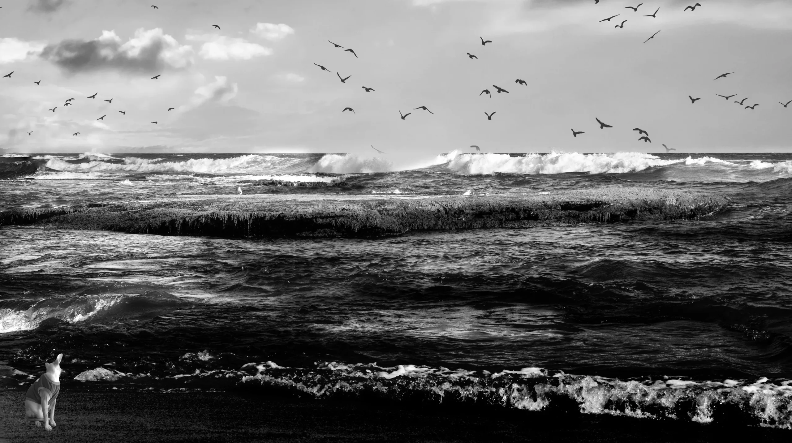 Discover Life Lessons from Ocean, Tides & Seascapes