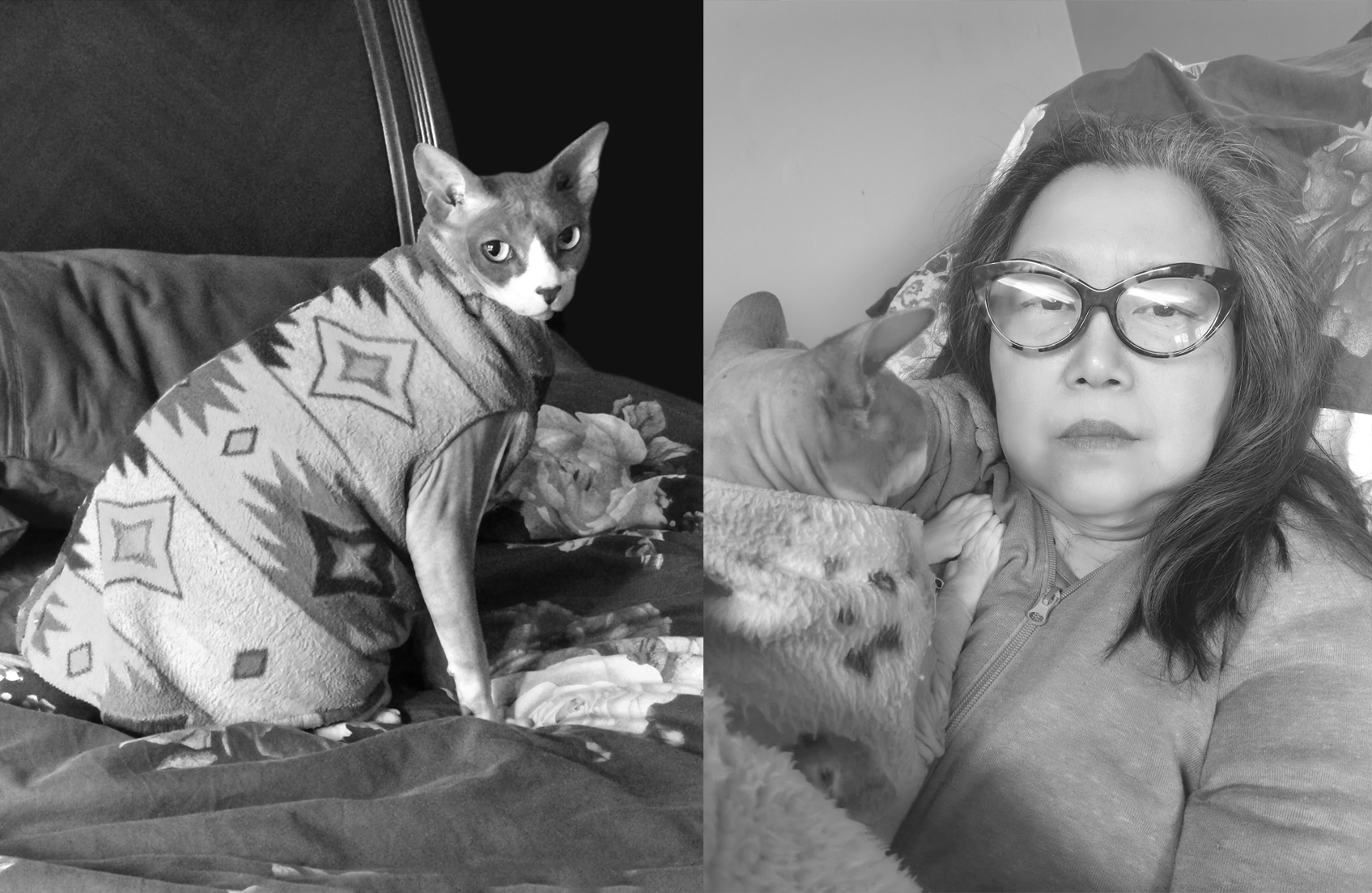 Healing Poems for the Loss of Cat, Pet Grief Poems, Poetry, Pet Poems, Grief Poems, Pet Loss Poem, Pet Grief Poem, Pet Memorial Poems, Animal Grief Poem, Coping with Pet Loss Poem, Coping with Pet Loss Poem, Mourning Pets Poem,