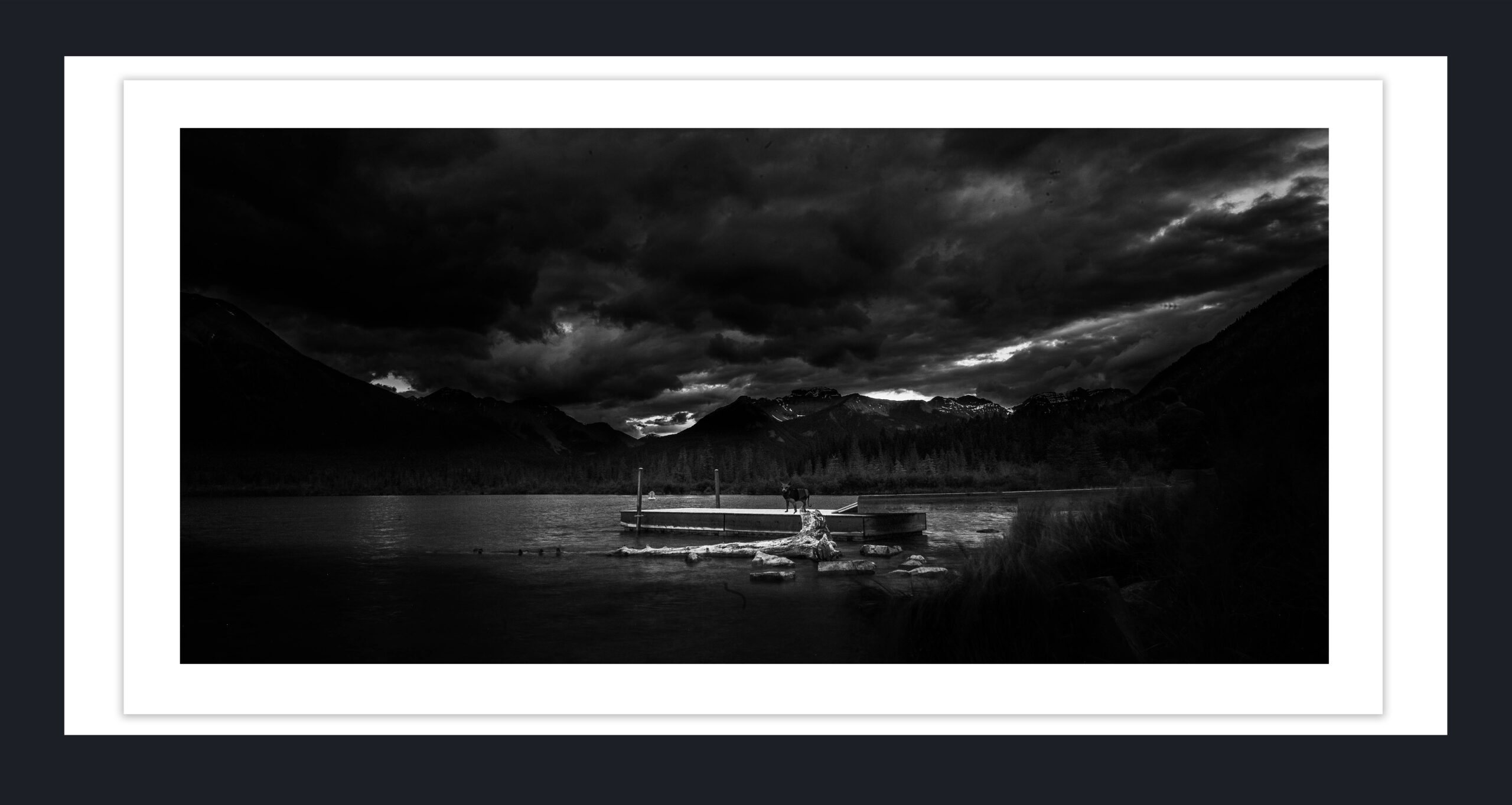 Life Lessons from Metaphorical Dusk of Life : Wisdom & Meaning in Golden