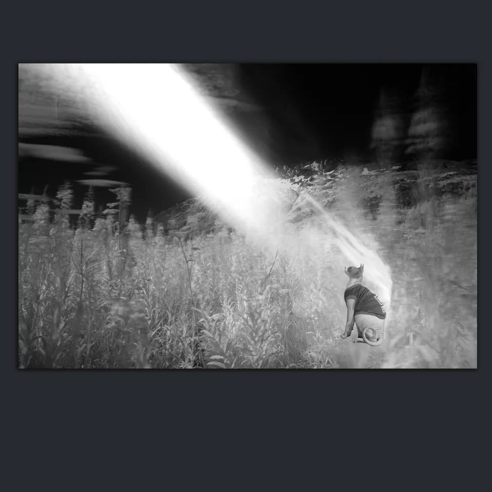 5.3.17 INFRARED PHOTOS LANDSCAPE Black and White Canada L1003867 2016