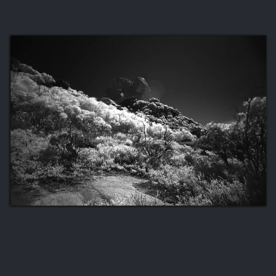 The Art of Unseen Personal Growth: Infrared and Motivation