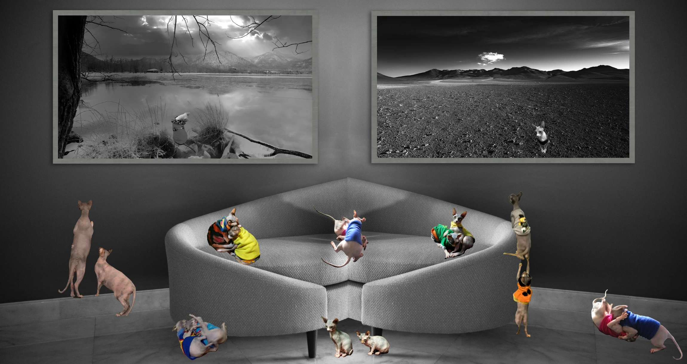 Limited edition black and white landscape fine art print for luxury interior design.