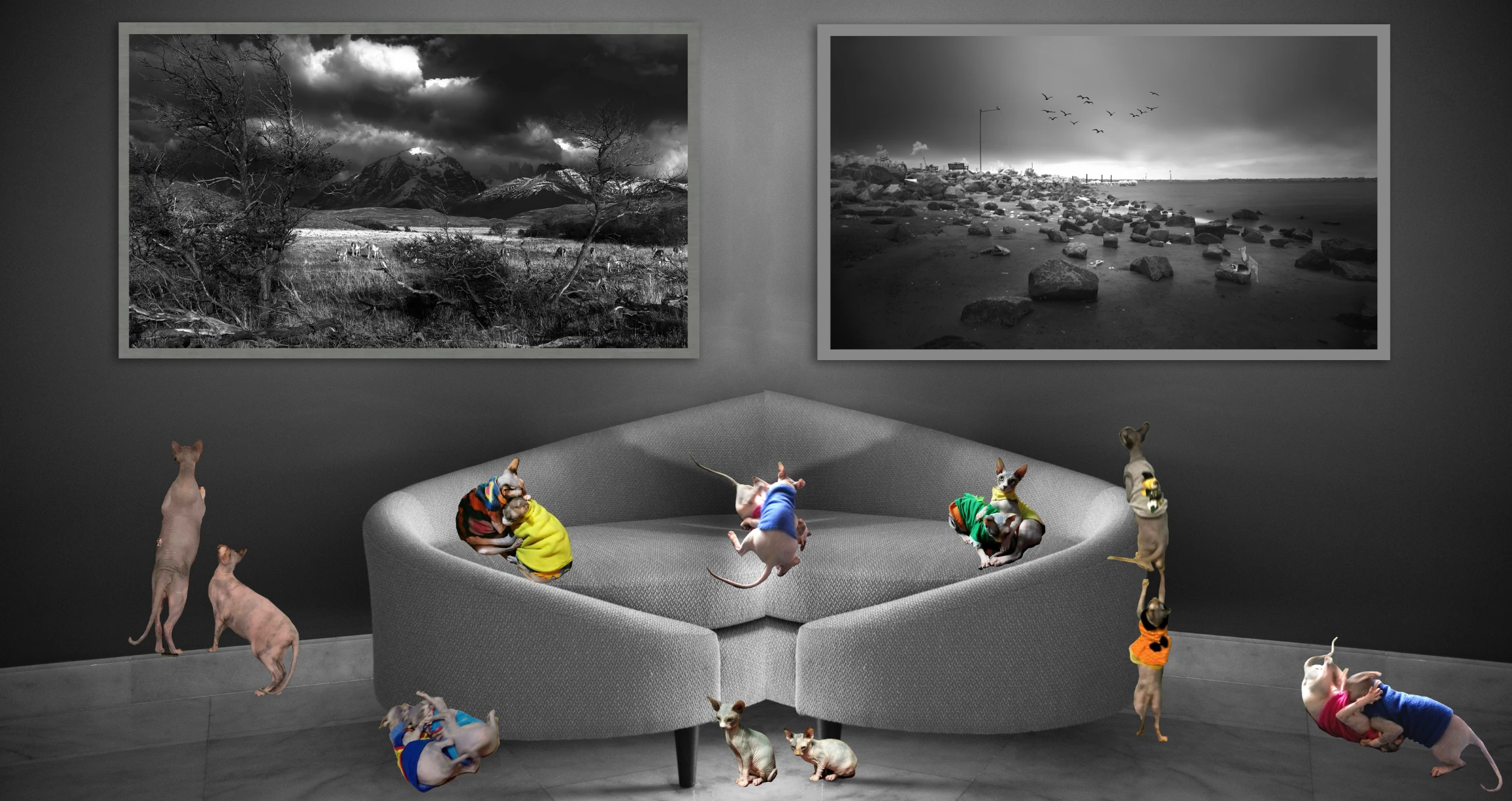 High-resolution black and white fine art landscape photography featuring ethereal textures - using Glicee fine art prints.